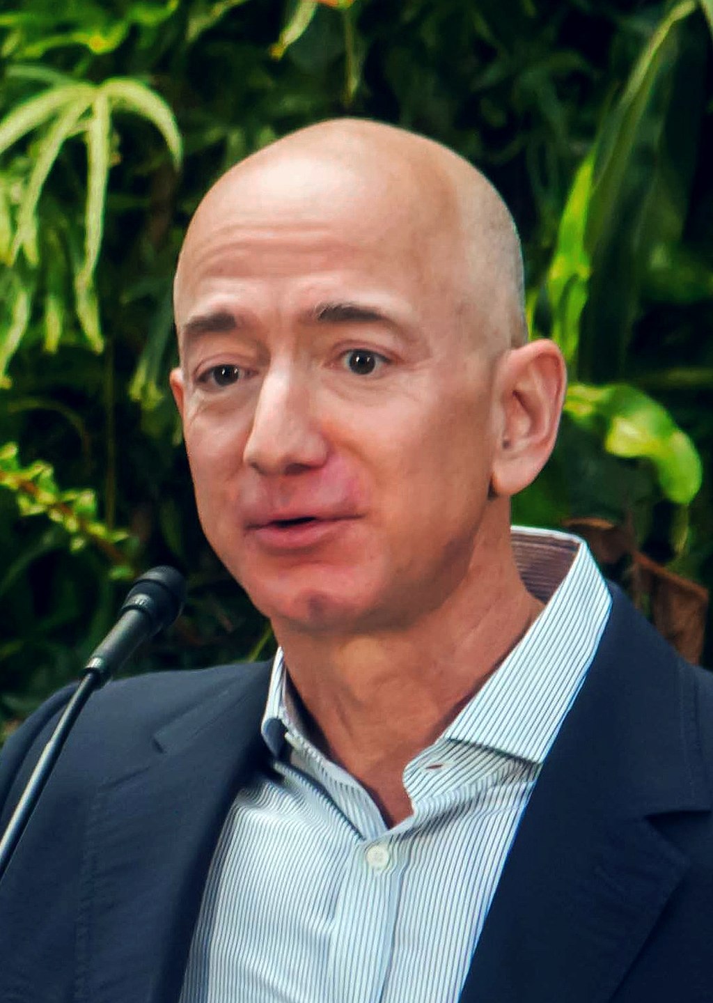 Jeff Bezos  Amazon CEO